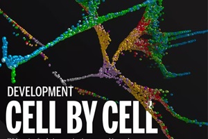 2018十大科學(xué)突破技術(shù)