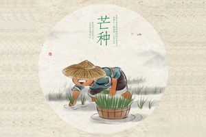 【芒種】一分耕耘,一分收獲